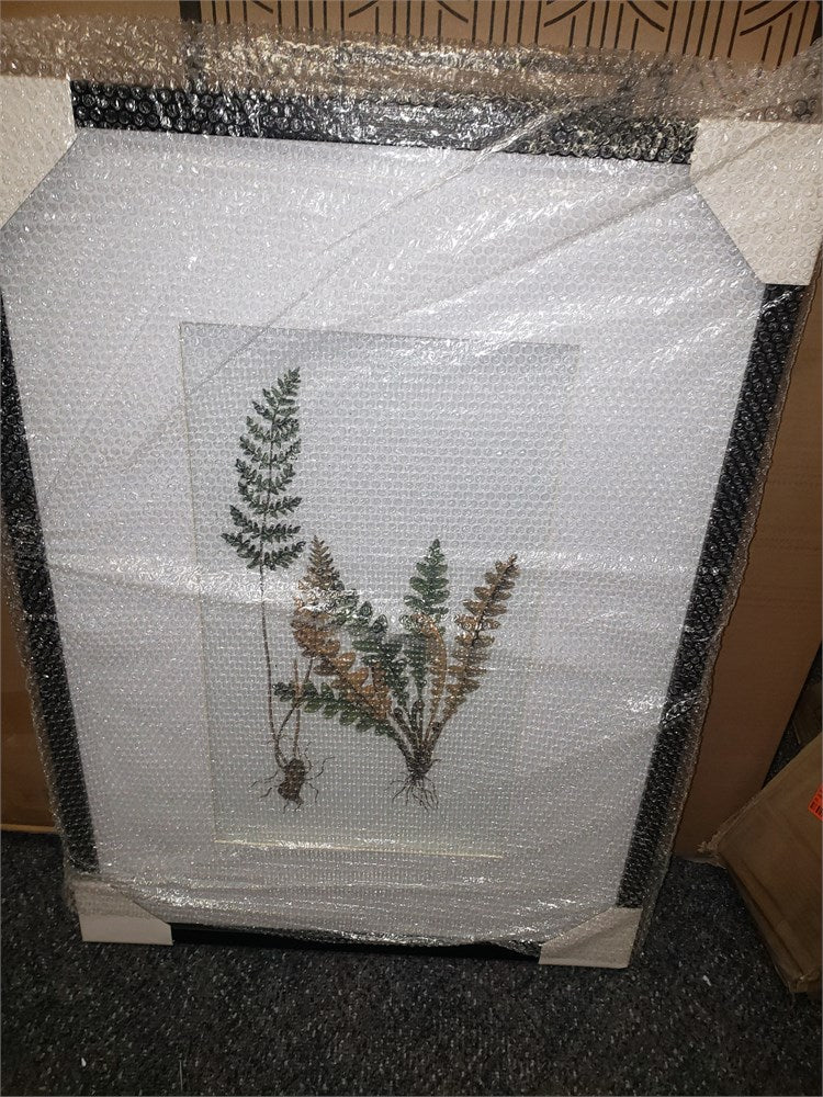 Botanical Fern White Framed Wall Art (Set of 4) H 27.6 in, W 1.2 in, D 19.7 in