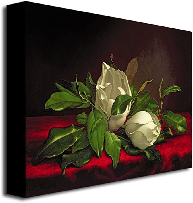 "Magnolia" by Martin Heade Painting Print on Canvas