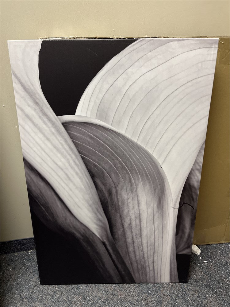 Calla Lilly II - Print on Canvas 48" H x 32" W x 1.5"