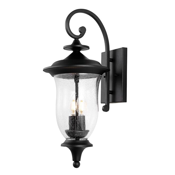 Dowell Outdoor Wall Lantern (Set of 2)