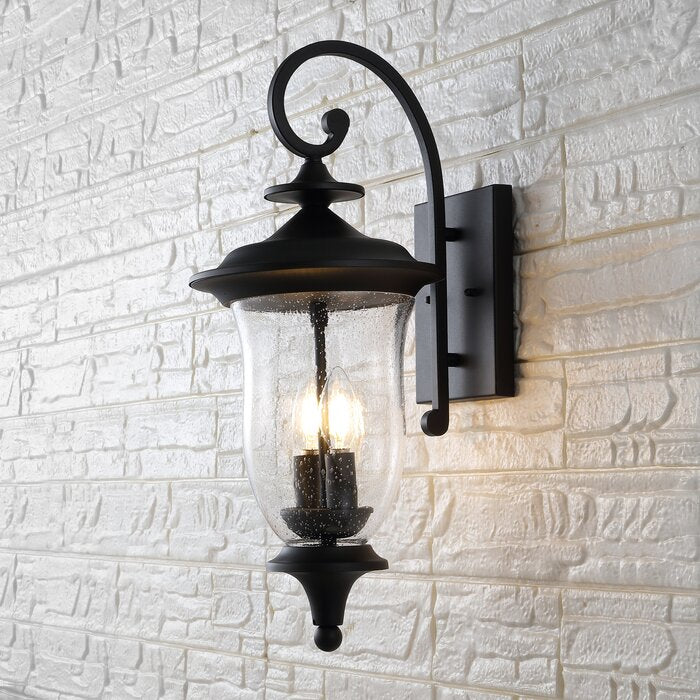 Dowell Outdoor Wall Lantern (Set of 2)