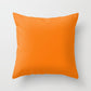 Square Throw Pillow set of 2, Orange