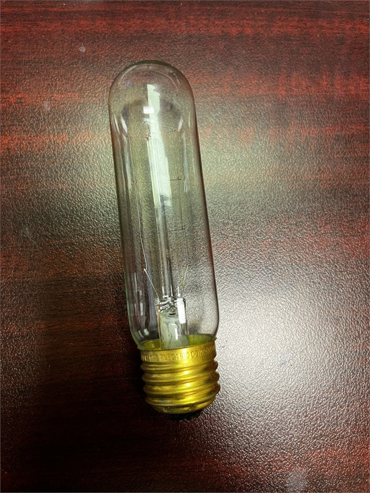 Marion 60 Watt, T10 Incandescent, Dimmable Light Bulb