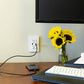 1 USB-A 1 USB-C In-Wall 2-Outlet 2-USB Receptacle, White