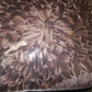 (King) Rosdorf Park Bloom 100% Cotton Sateen Reversible 5-Piece Comforter Set