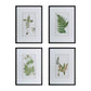 Botanical Fern White Framed Wall Art (Set of 4) H 27.6 in, W 1.2 in, D 19.7 in