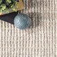 Palen Hand-Knotted Jute/Sisal Area Rug in Off-White 7'6" X 9'6"